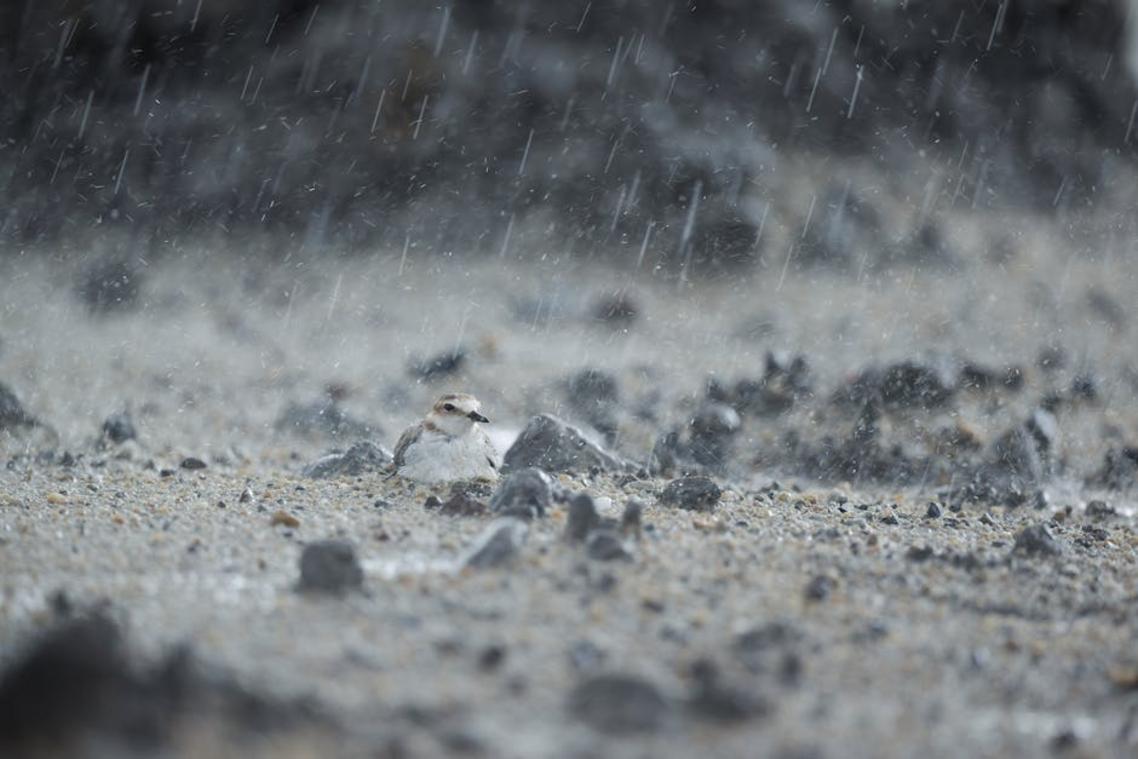 behavioral conditioning