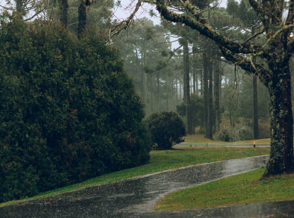 feliz domingo lluvioso gif