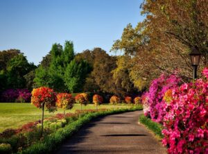 Garden Homenumental