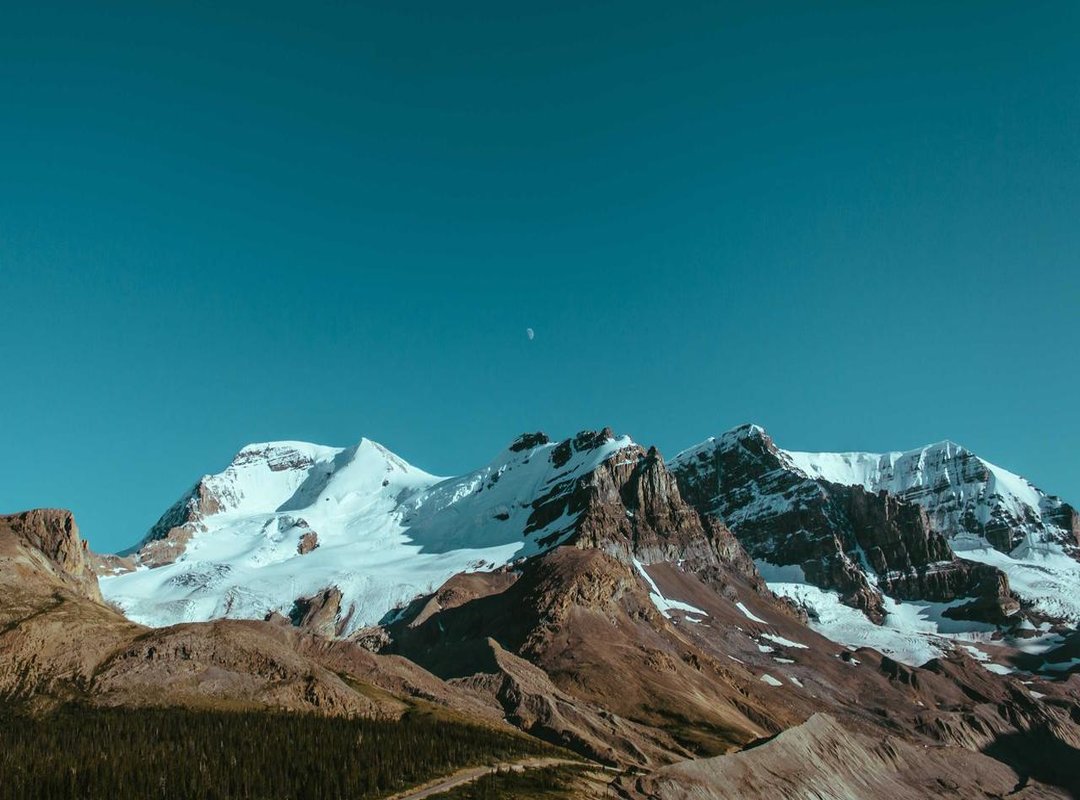 Official vs. Unofficial: How to Spot the Difference in Seconds