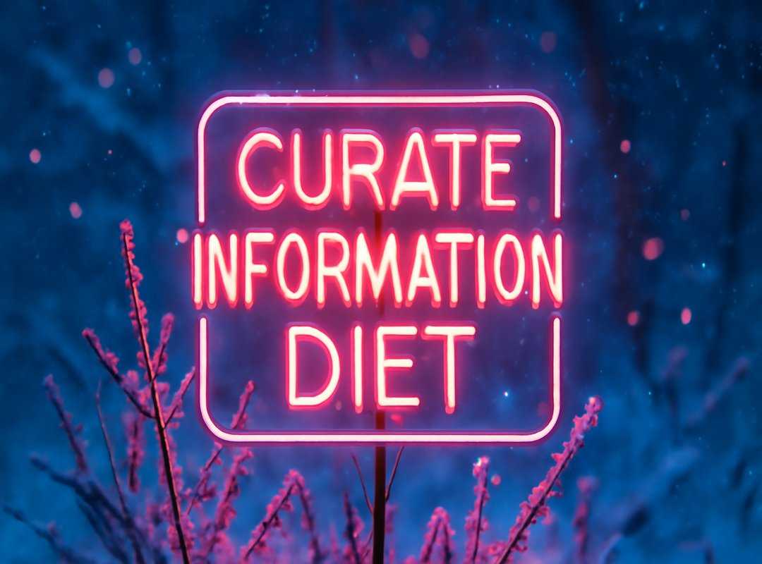 organize digital life