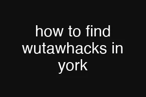 how to find wutawhacks in york